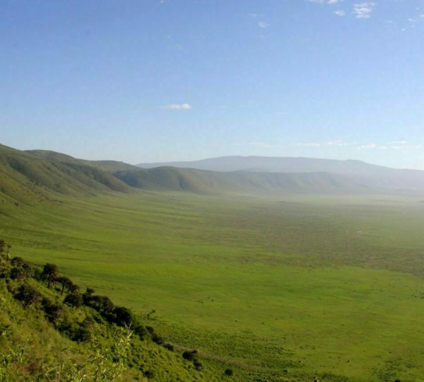 Safari Cratere Ngorongoro
