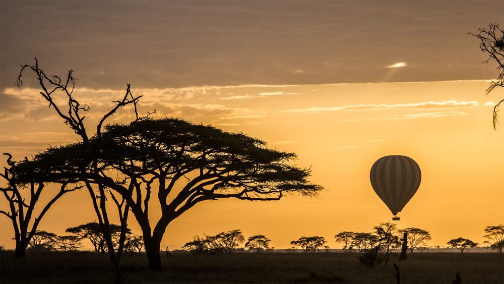 Parco Nazionale del Serengeti, 1ª attrazione della Tanzanie