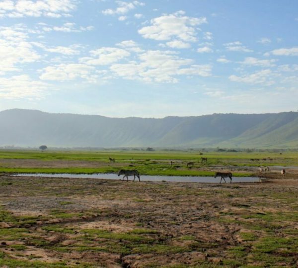 Cratere Del Ngorongoro