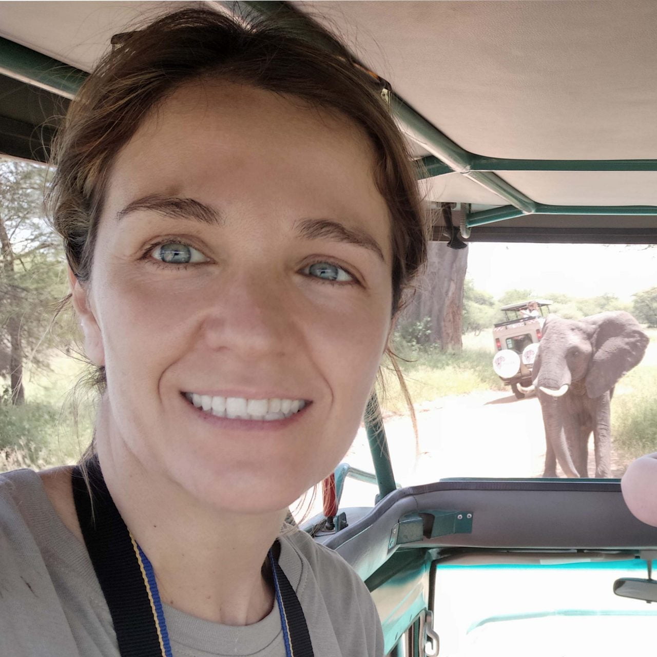 Guida di viaggio per la Tanzanie
