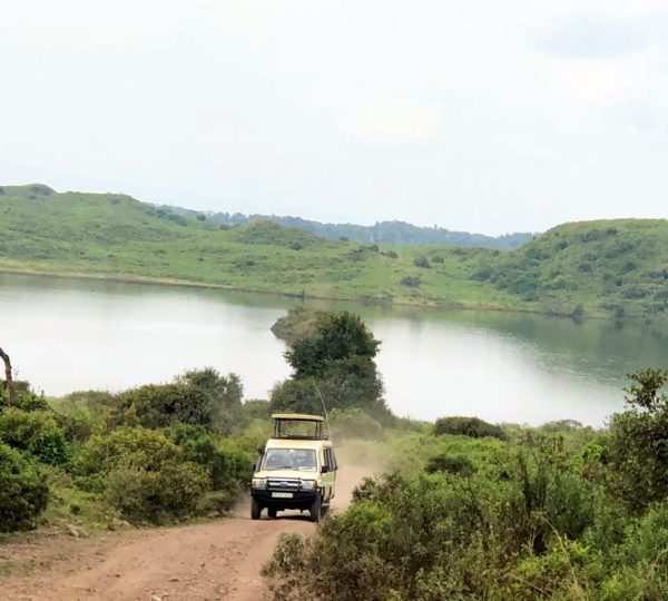 Parco nazionale di Arusha