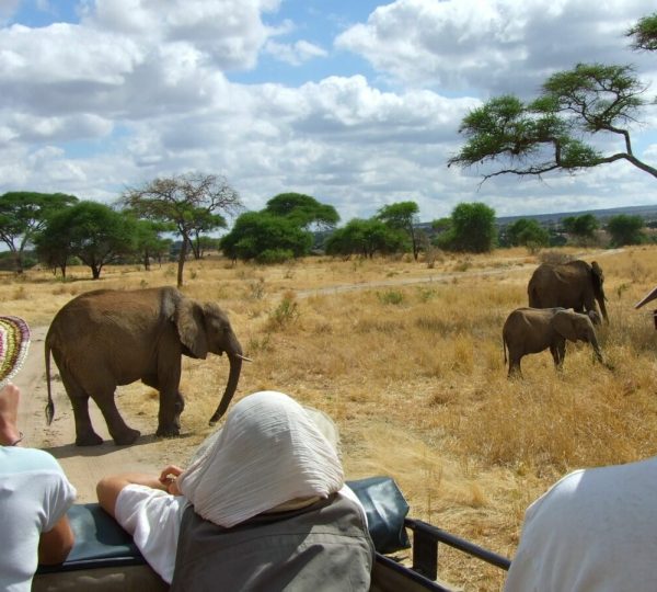 Safari di gruppo Tarangire Tanzania
