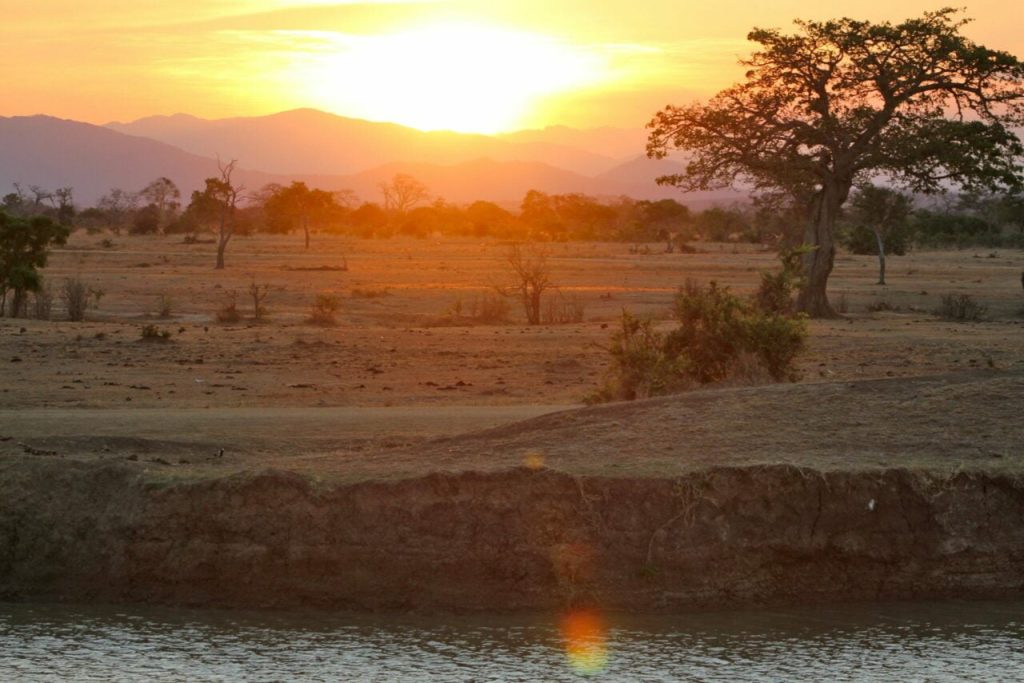 reserve-de-selous