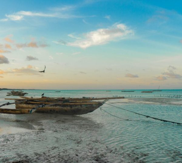 Viaggio Zanzibar Pemba