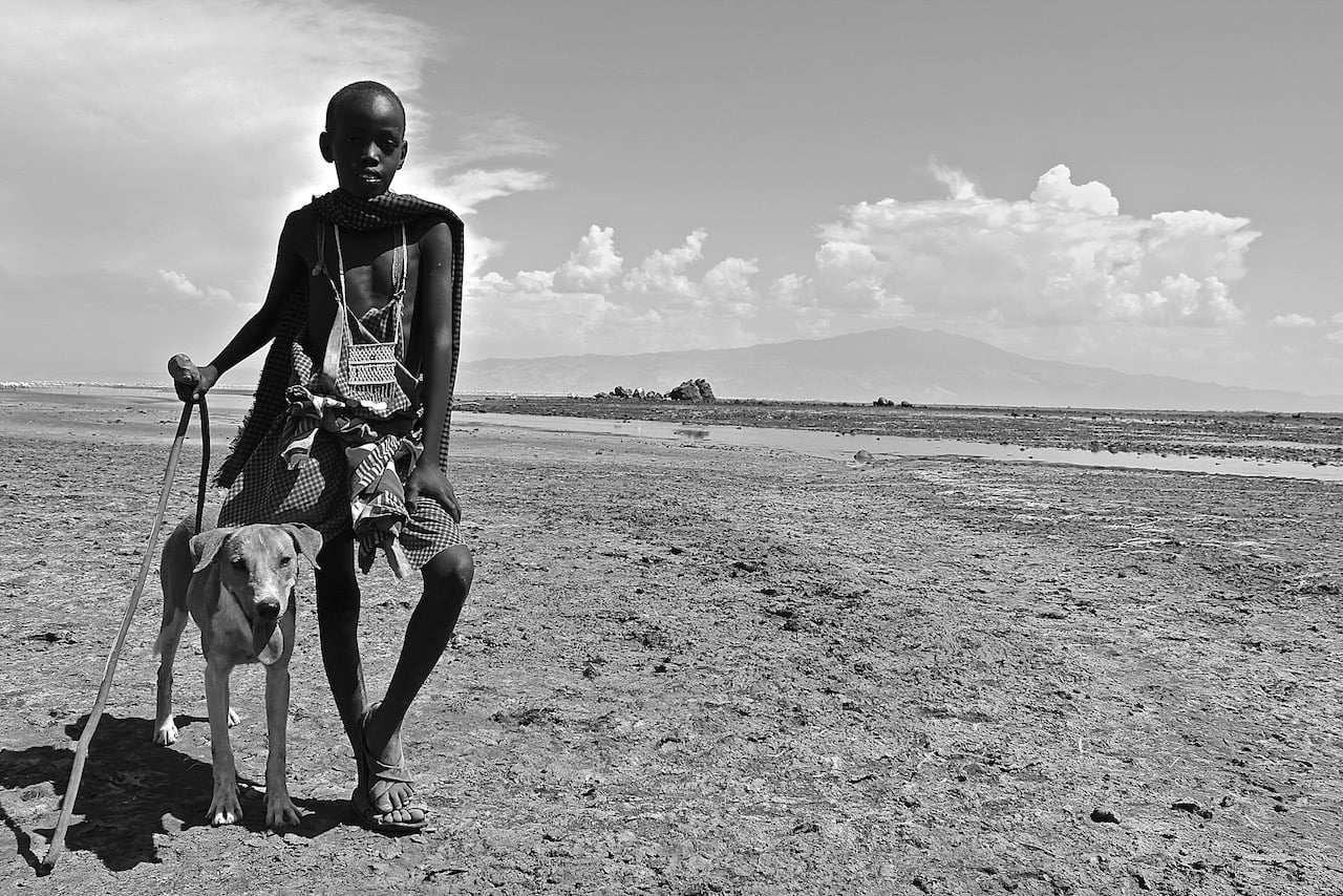 Immagine safari Tanzania 81