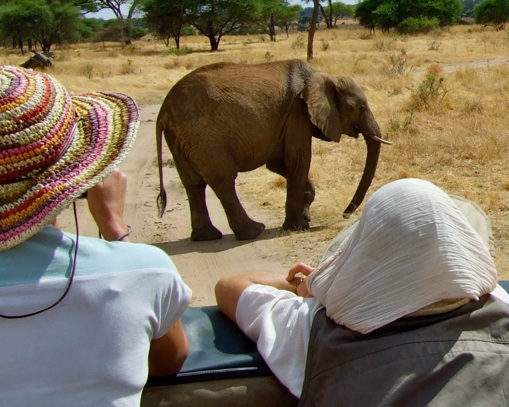 Immagine safari Tanzania 10