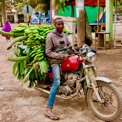 Immagine safari Tanzania 14