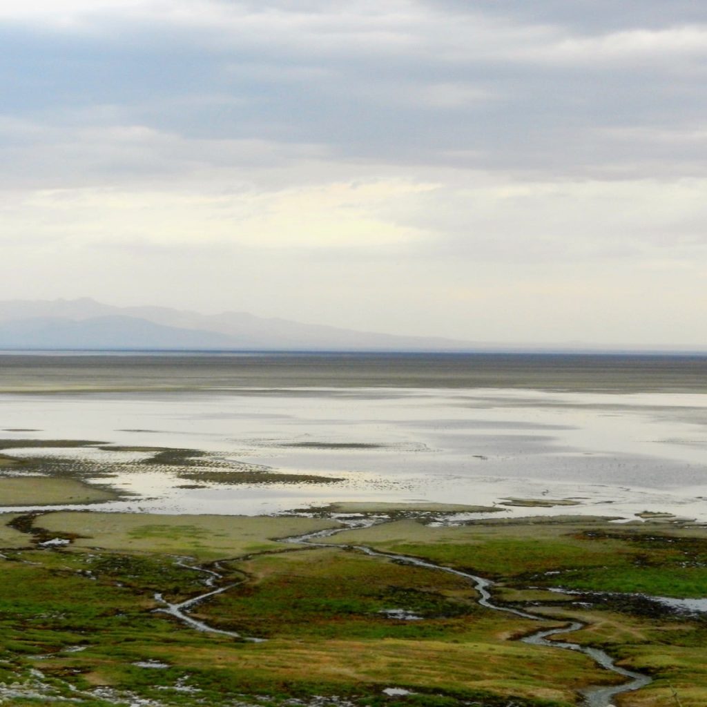 Manyara