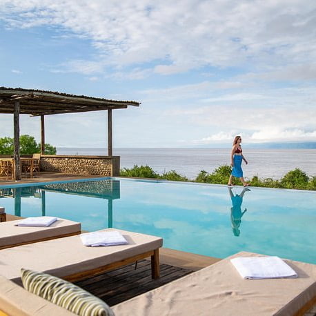 Immagine safari Tanzania 20