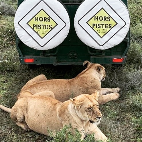 Immagine safari Tanzania 28