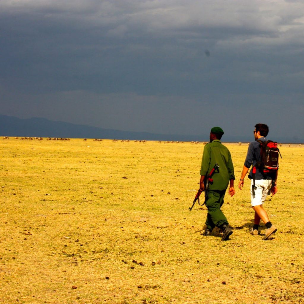 Immagine safari Tanzania 19