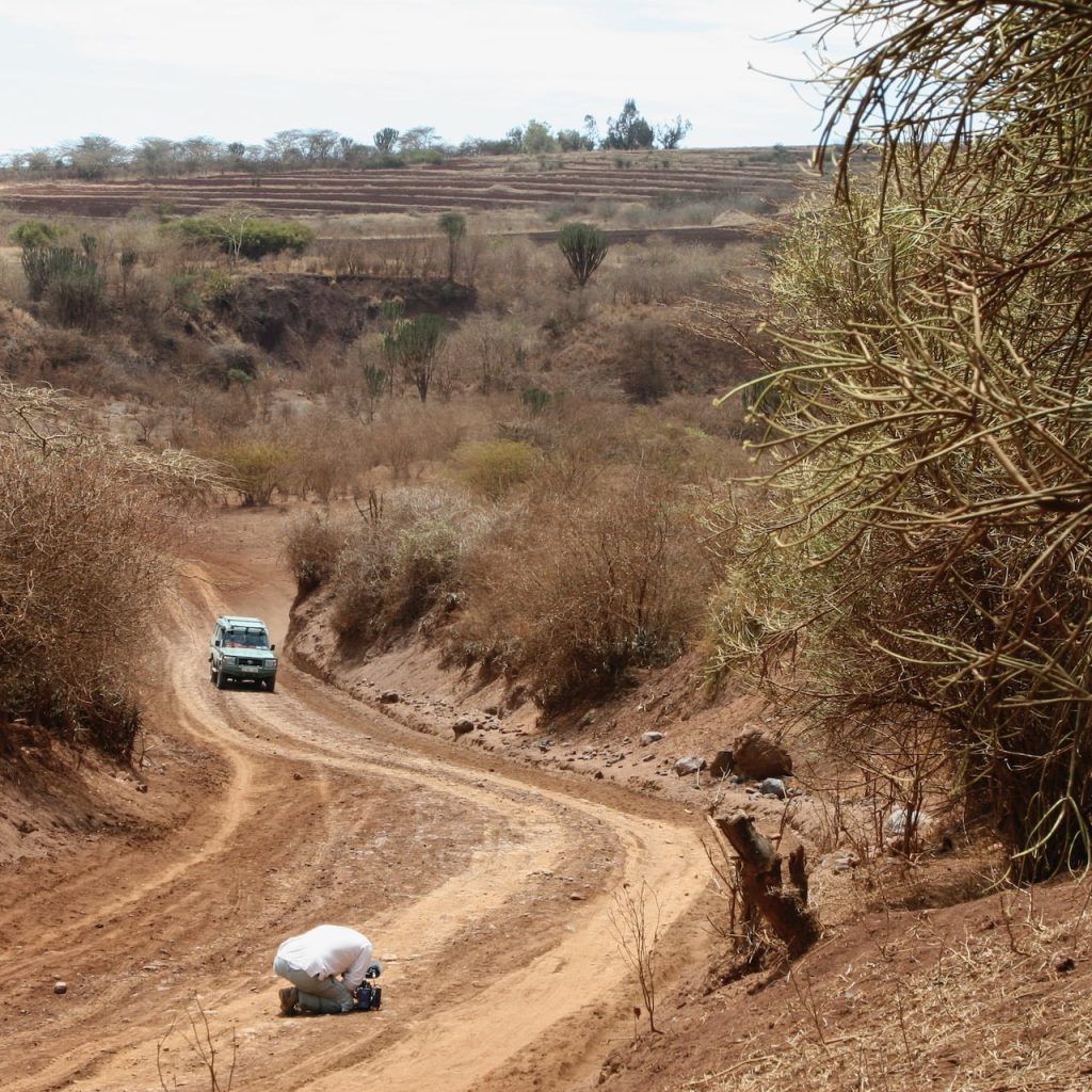 Immagine safari Tanzania 13