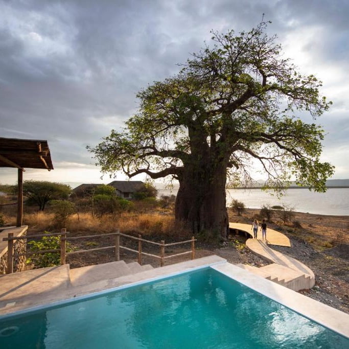 Immagine safari Tanzania 22
