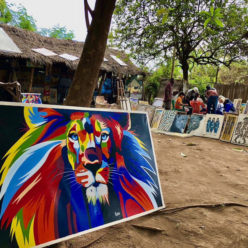 Immagine safari Tanzania 17