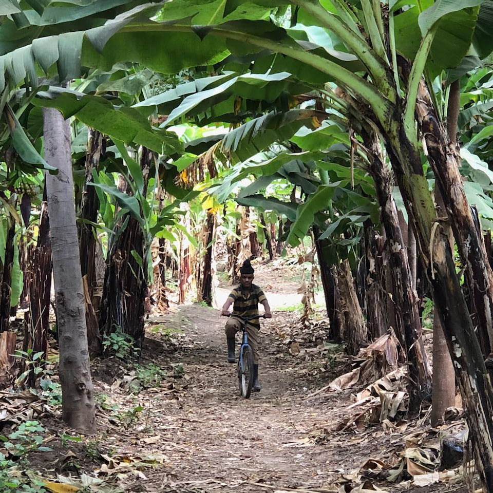 Immagine safari Tanzania 18
