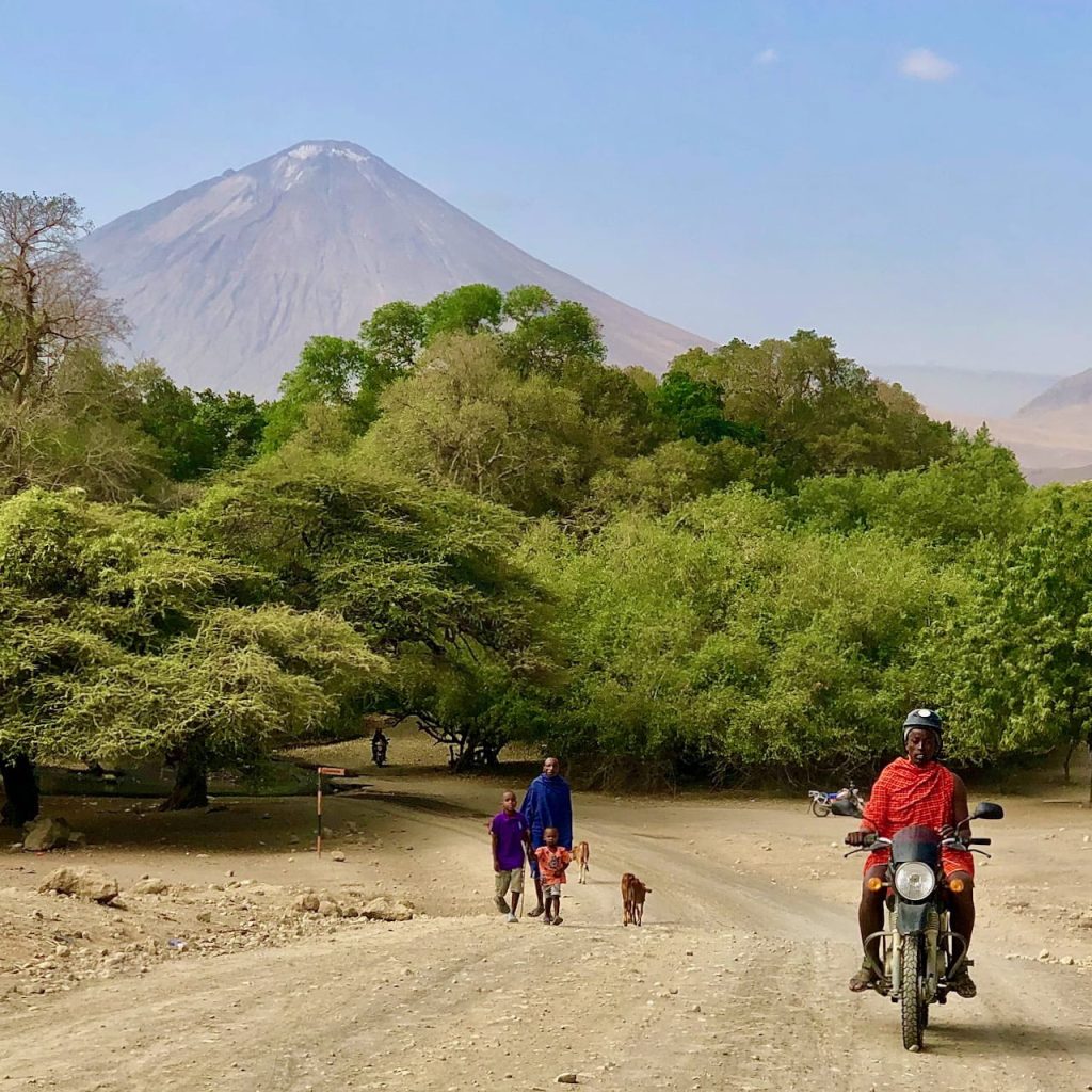 Immagine safari Tanzania 47