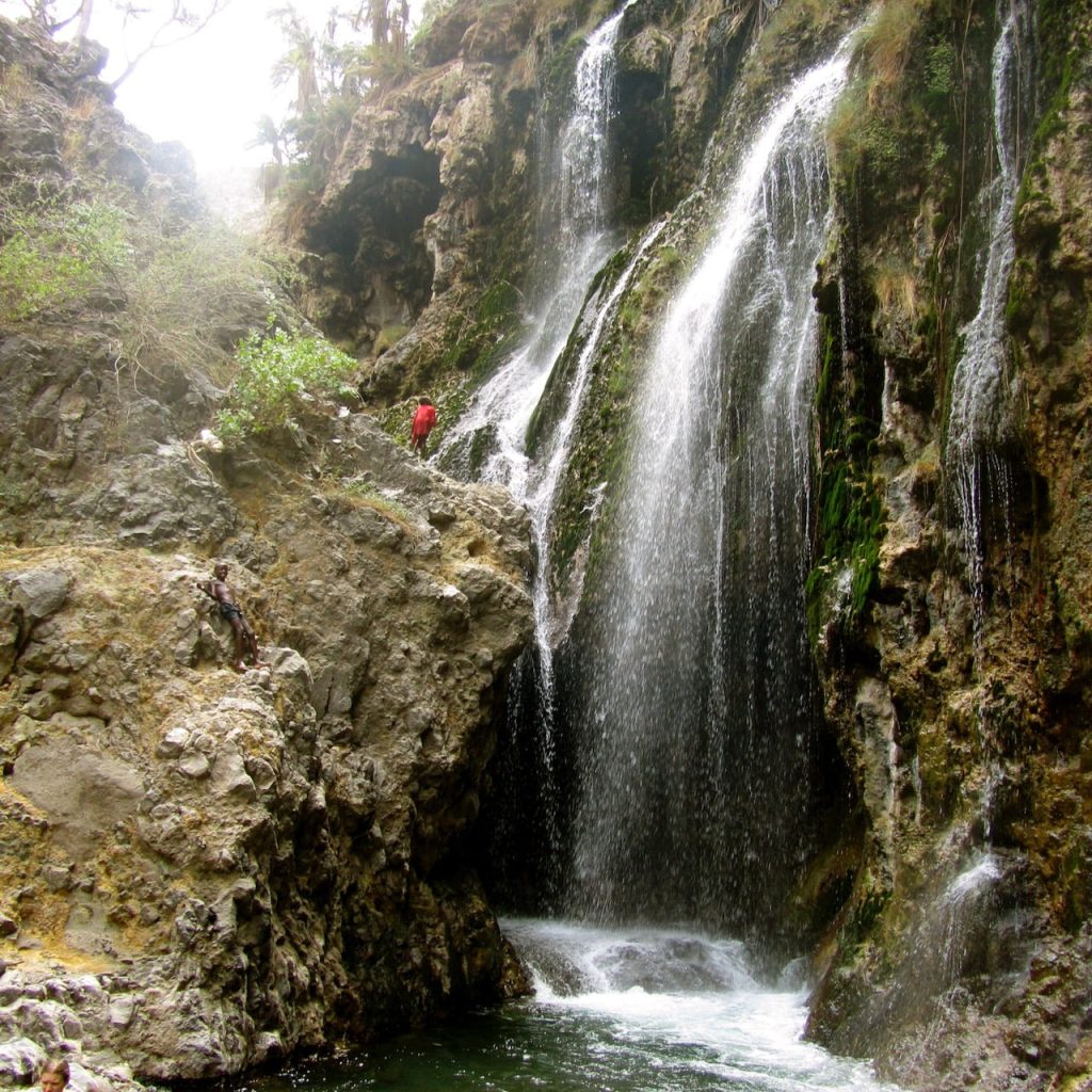 Immagine safari Tanzania 33