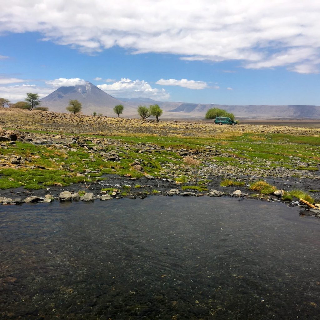 Immagine safari Tanzania 53