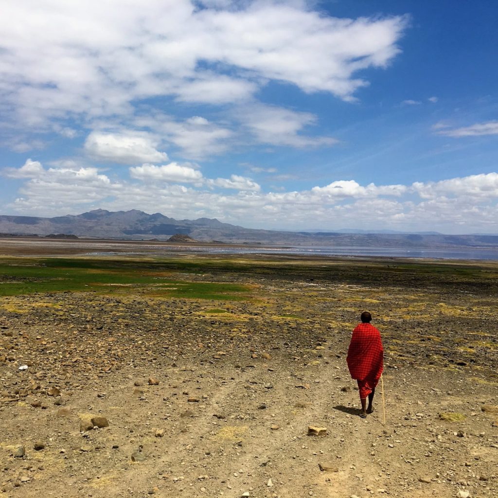Immagine safari Tanzania 37