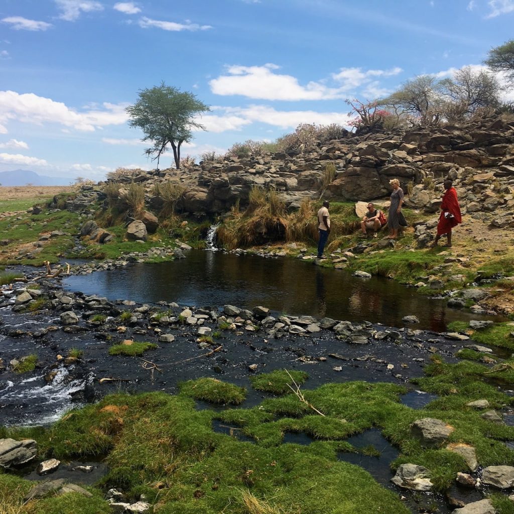 Immagine safari Tanzania 51