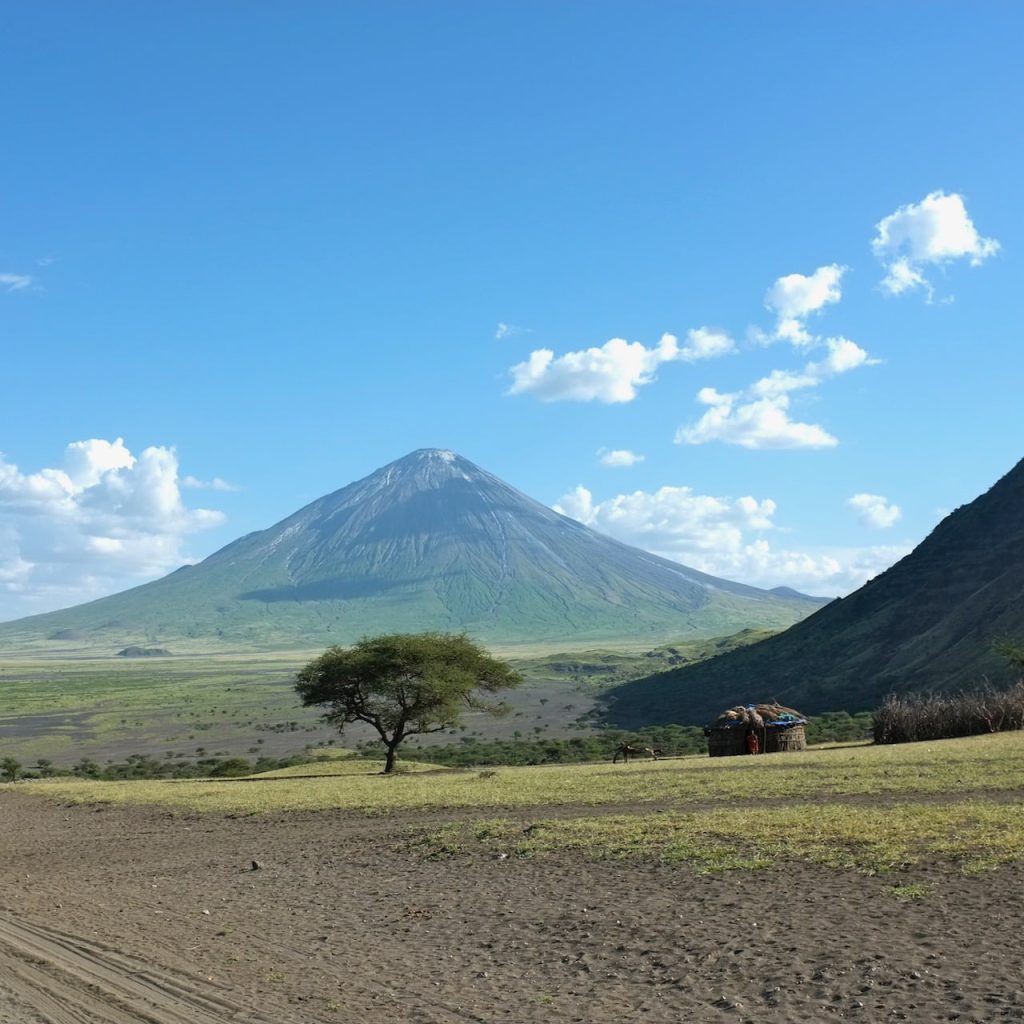 Immagine safari Tanzania 29