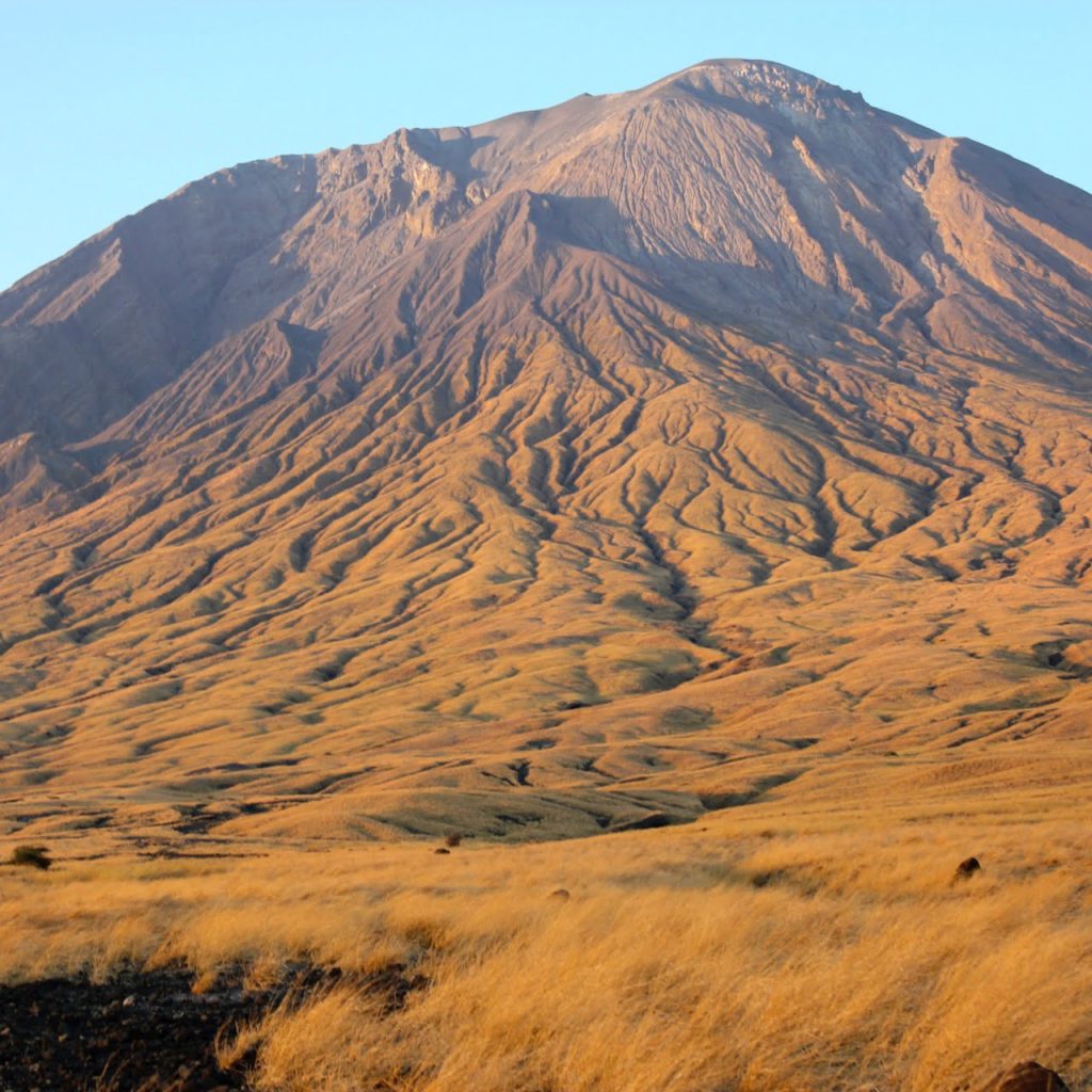 Immagine safari Tanzania 39