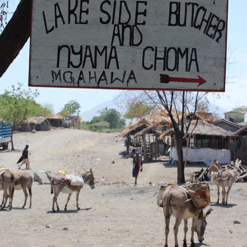 Immagine safari Tanzania 46