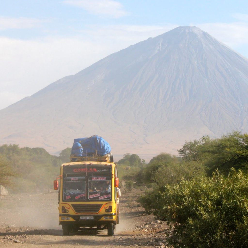 Immagine safari Tanzania 59