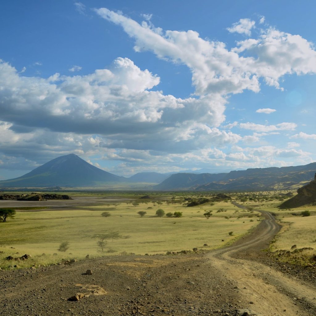 Immagine safari Tanzania 31