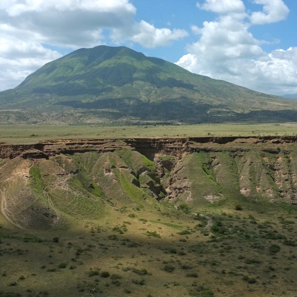 Immagine safari Tanzania 40