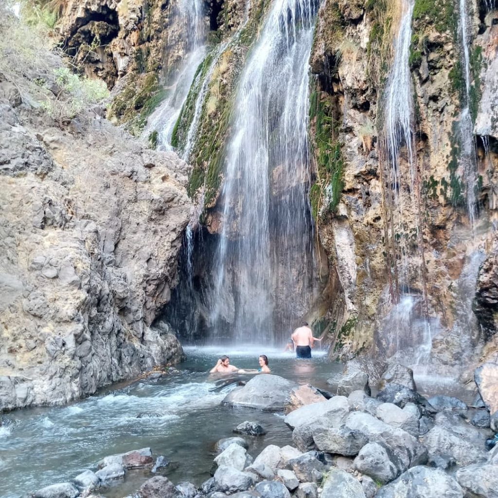 Immagine safari Tanzania 52