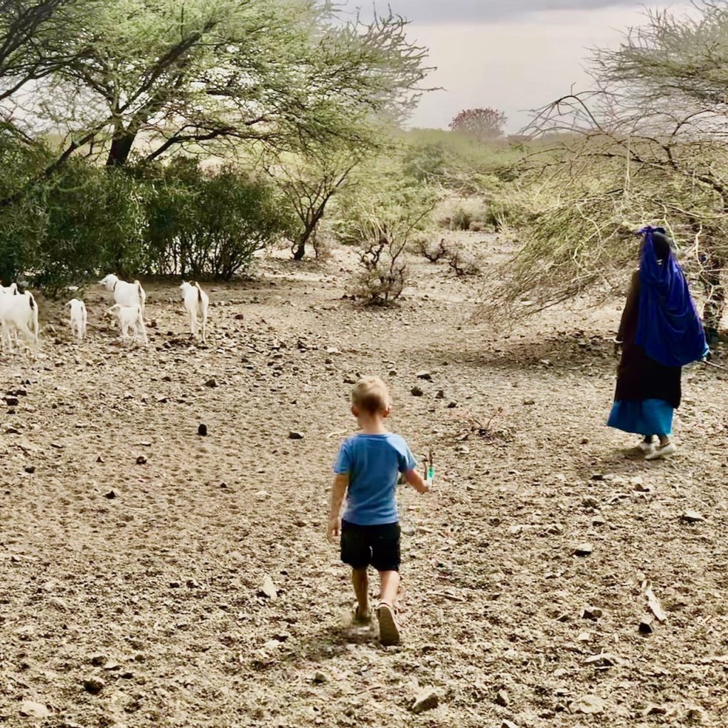 Immagine safari Tanzania 61