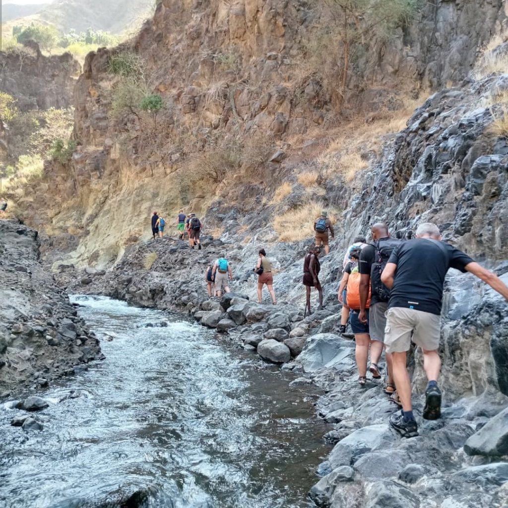 Immagine safari Tanzania 50
