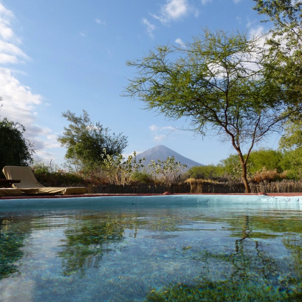 Immagine safari Tanzania 57