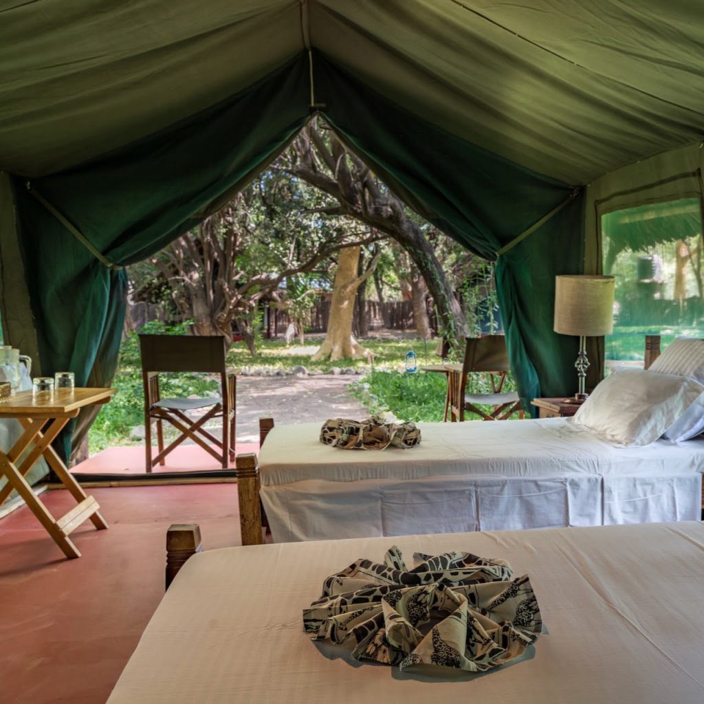 Immagine safari Tanzania 56