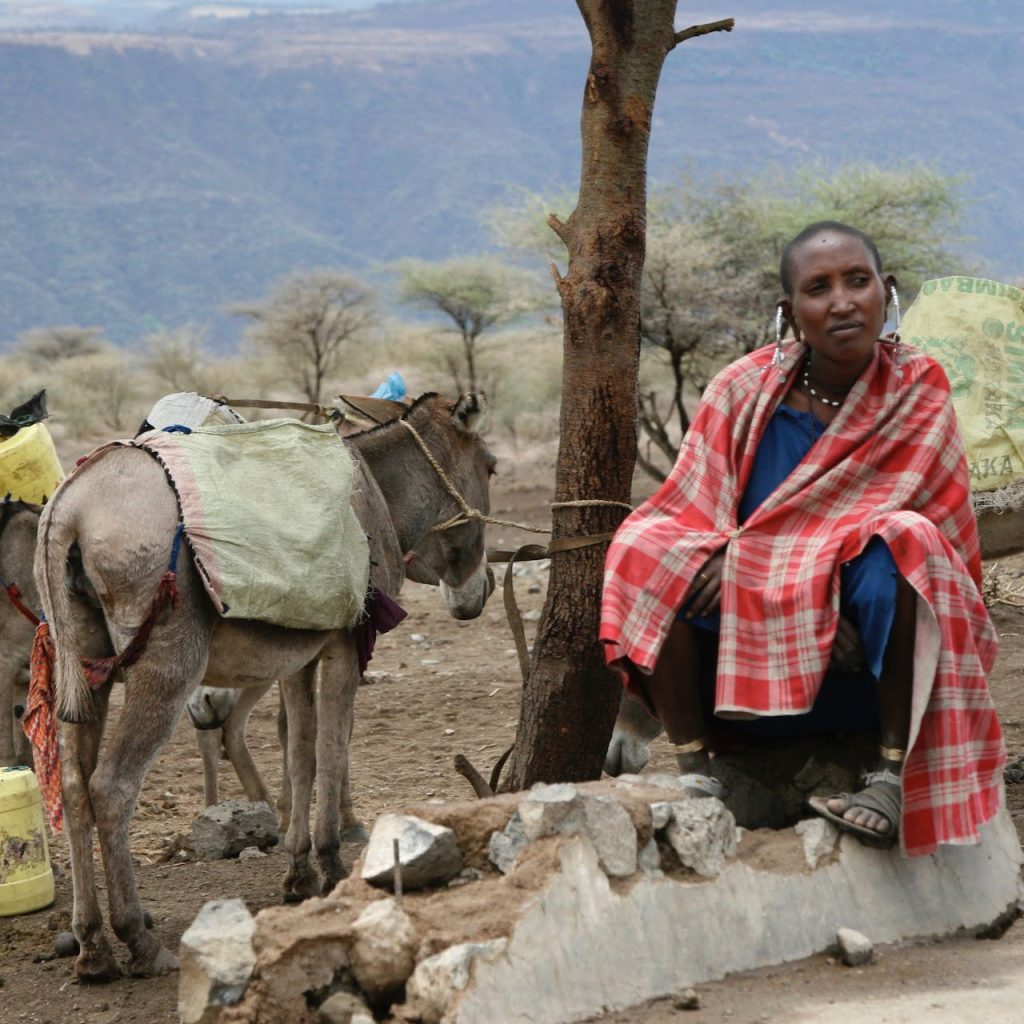 Immagine safari Tanzania 48