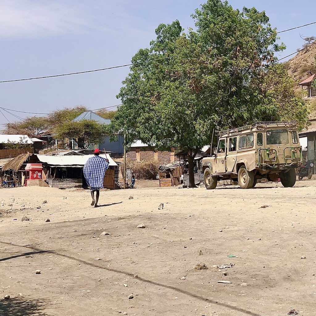 Immagine safari Tanzania 49