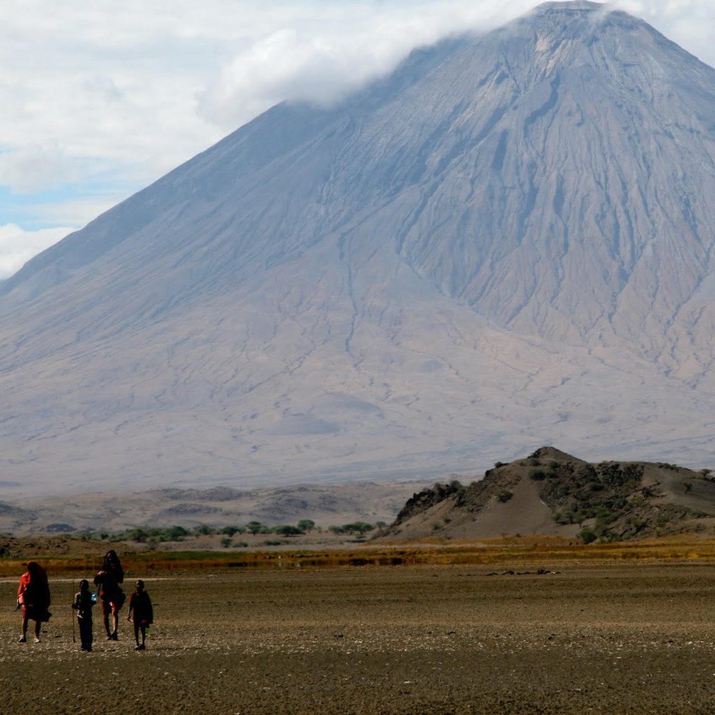 Immagine safari Tanzania 32