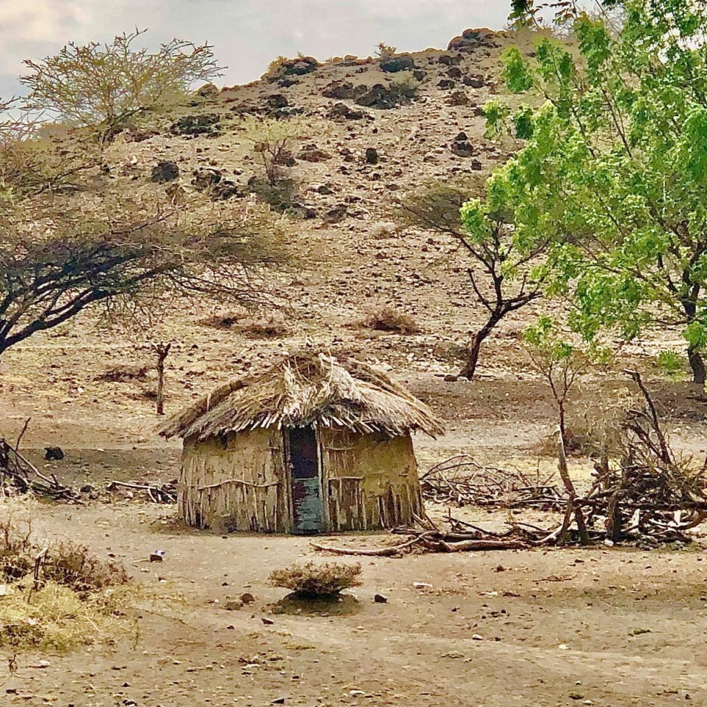 Immagine safari Tanzania 35
