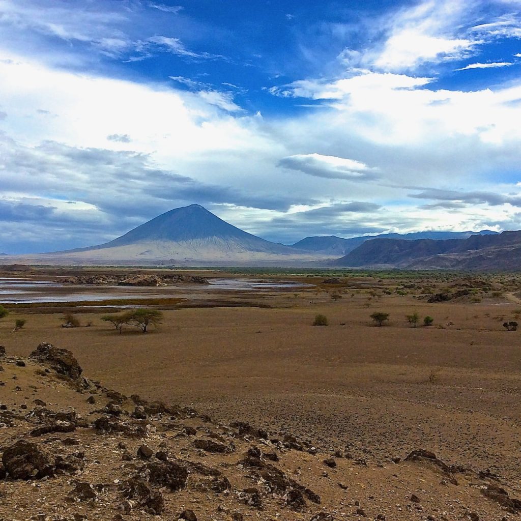 Immagine safari Tanzania 55