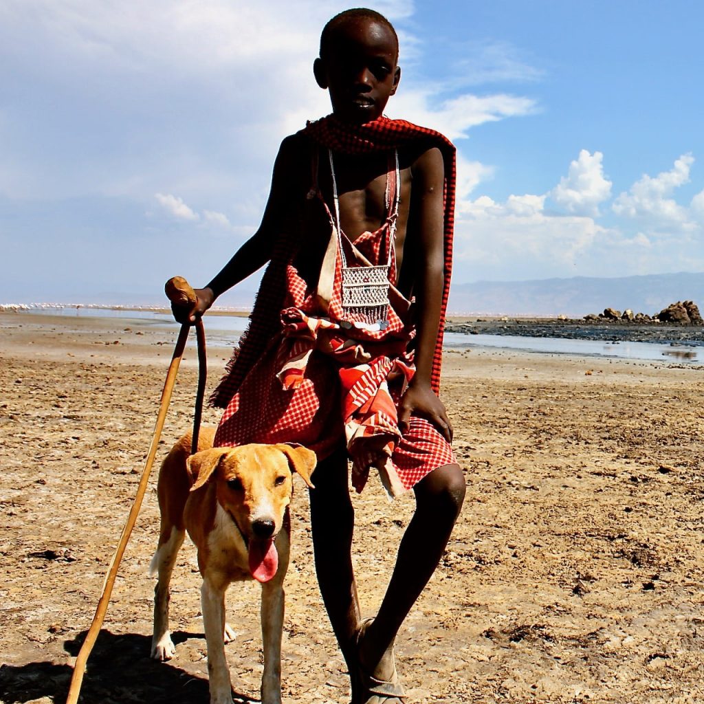 Immagine safari Tanzania 45