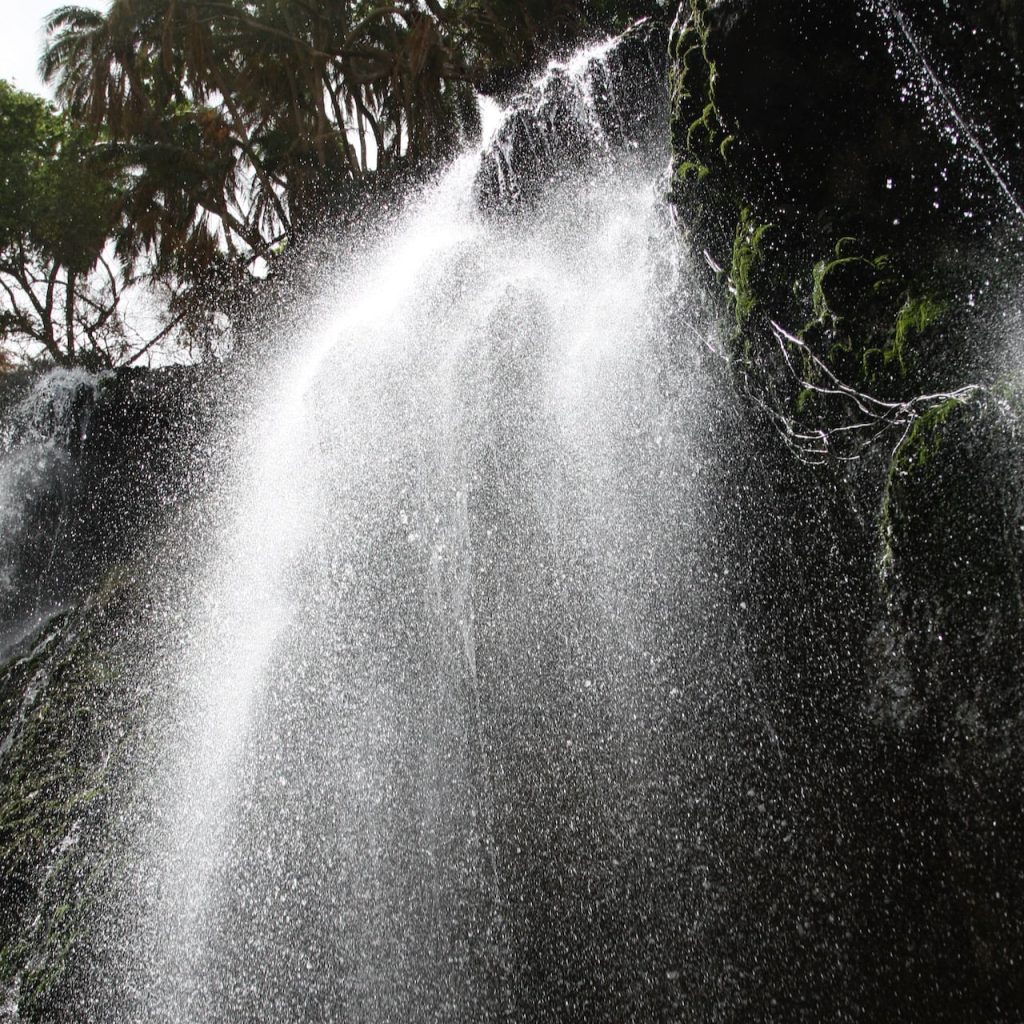 Immagine safari Tanzania 41