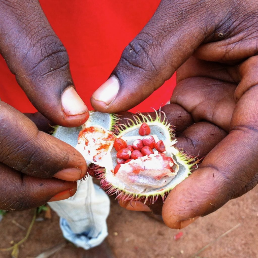 Immagine safari Tanzania 99