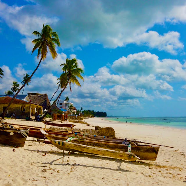 Immagine safari Tanzania 96