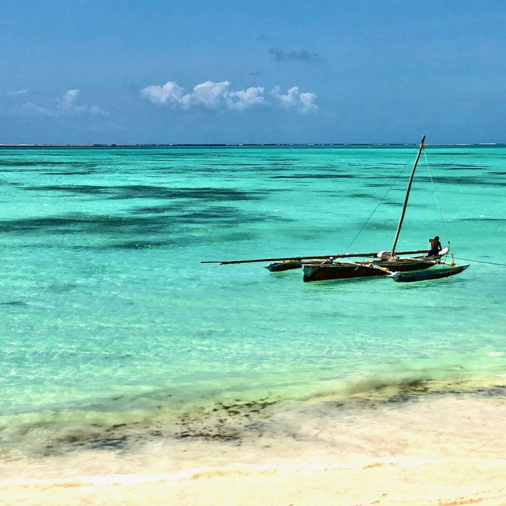 Immagine safari Tanzania 148