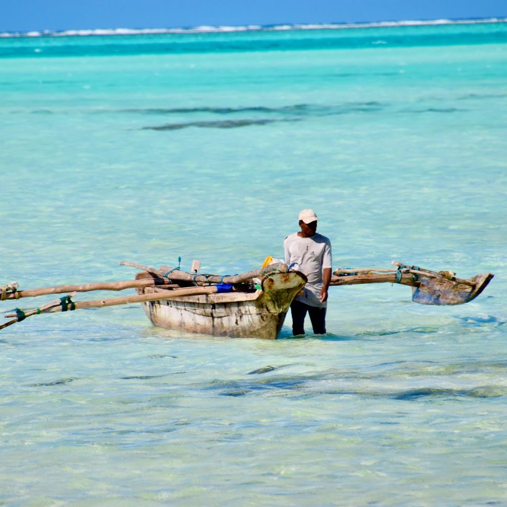 Immagine safari Tanzania 130