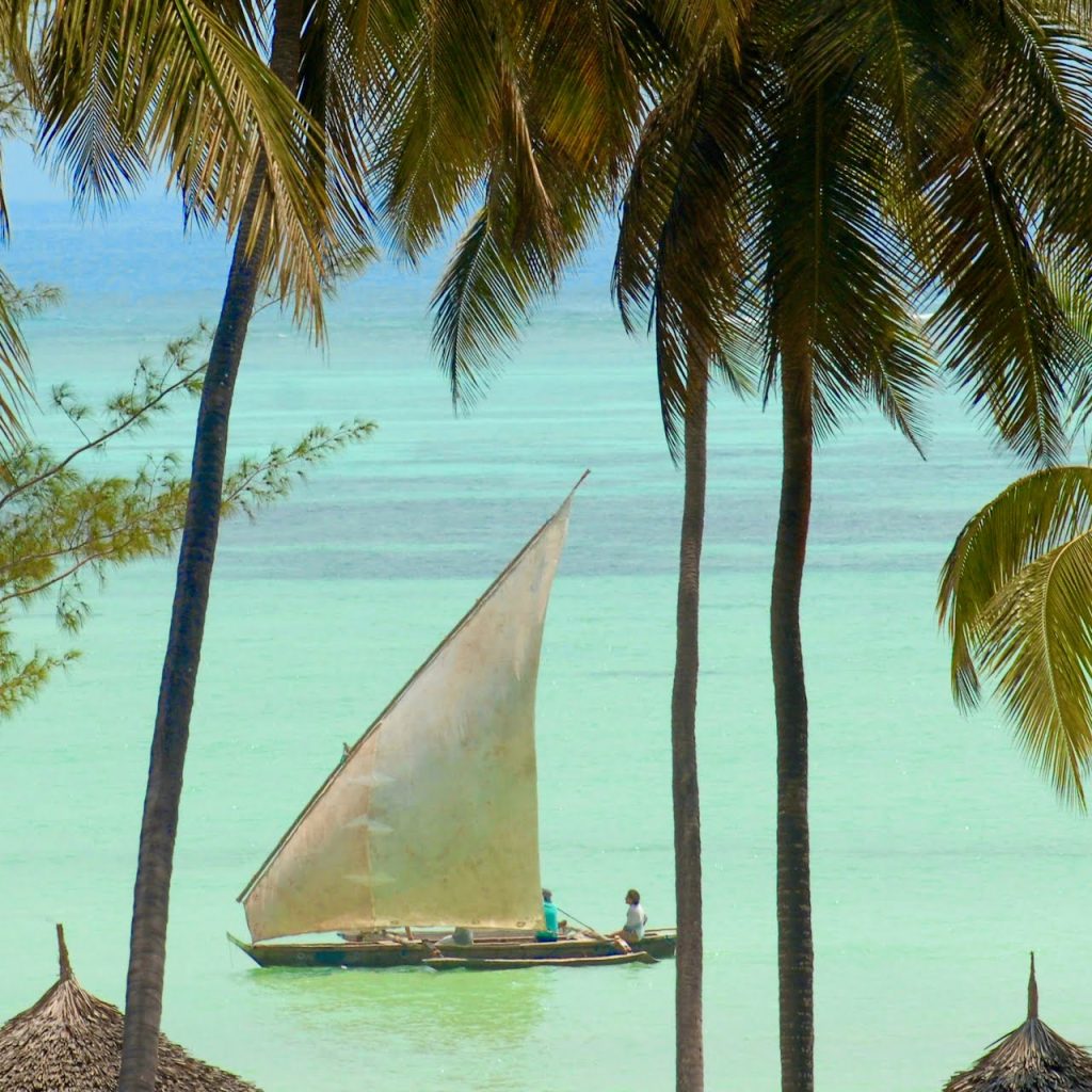 Immagine safari Tanzania 152