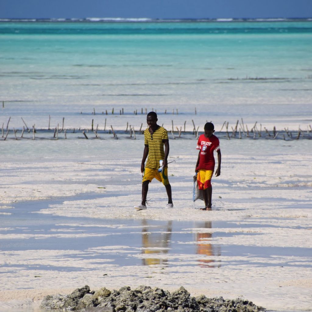 Immagine safari Tanzania 153