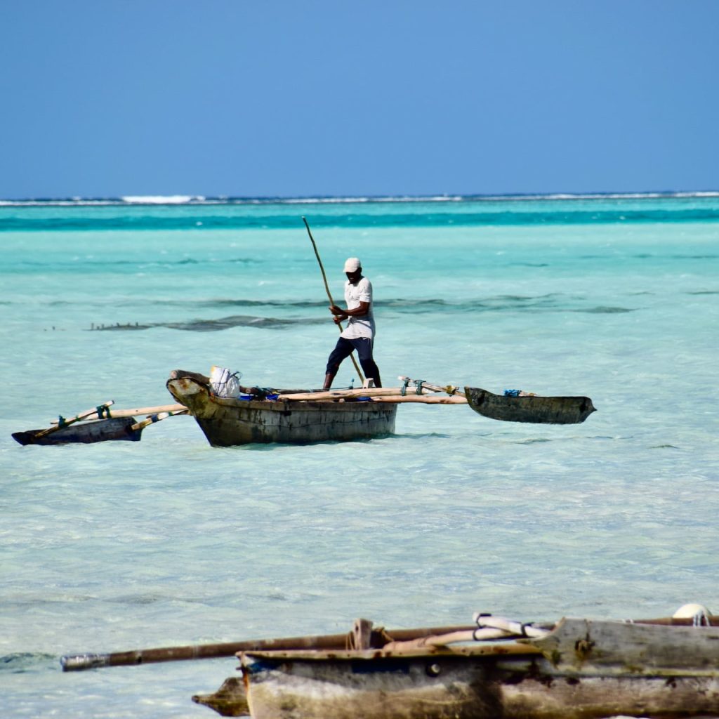 Immagine safari Tanzania 145