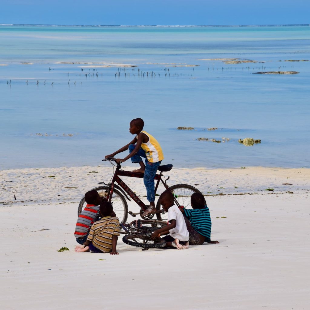 Immagine safari Tanzania 155